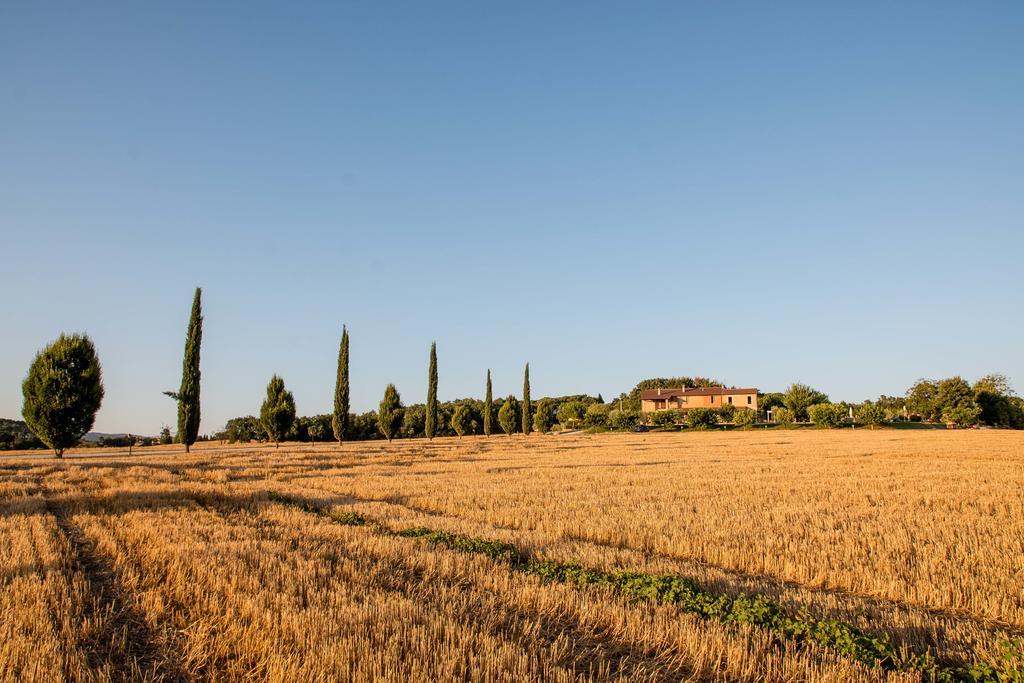 Agriturismo Il Tiro Castel del Piano (Perugia) Exterior foto